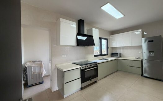 un somptueux appartement a louer au point e