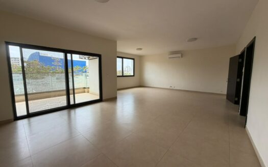 un somptueux appartement a louer au point e